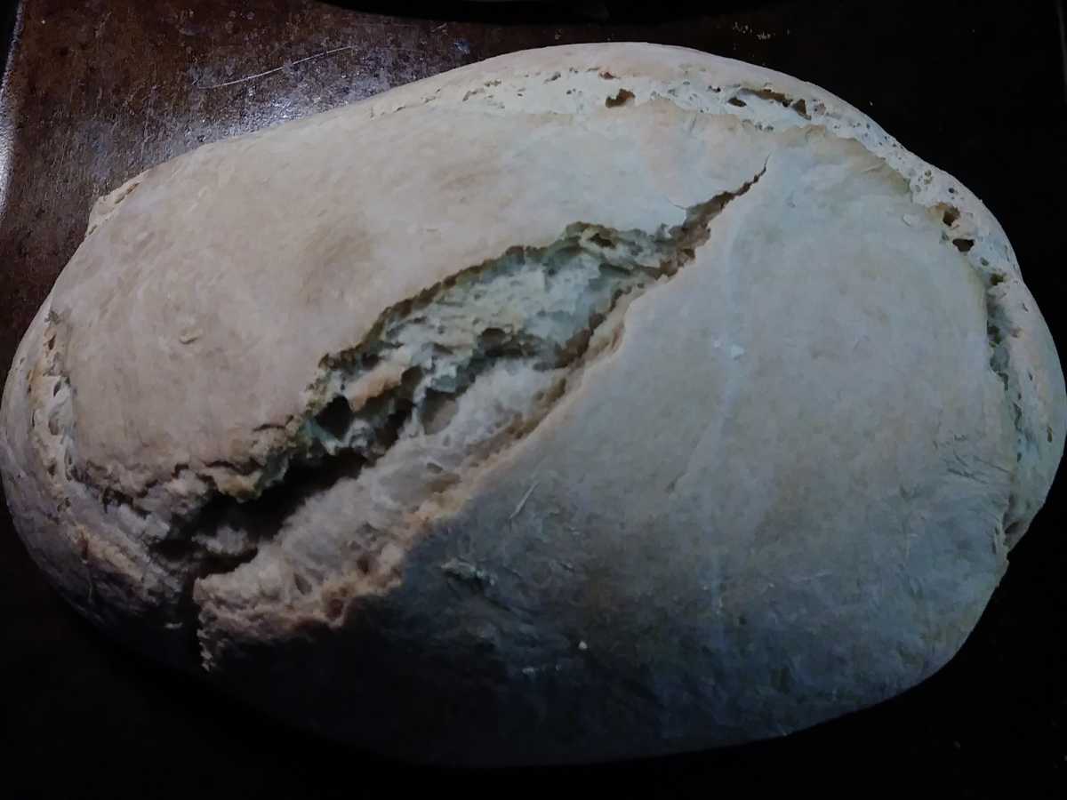 How To Use Sourdough Starter In Place Of Dried Yeast Delishably