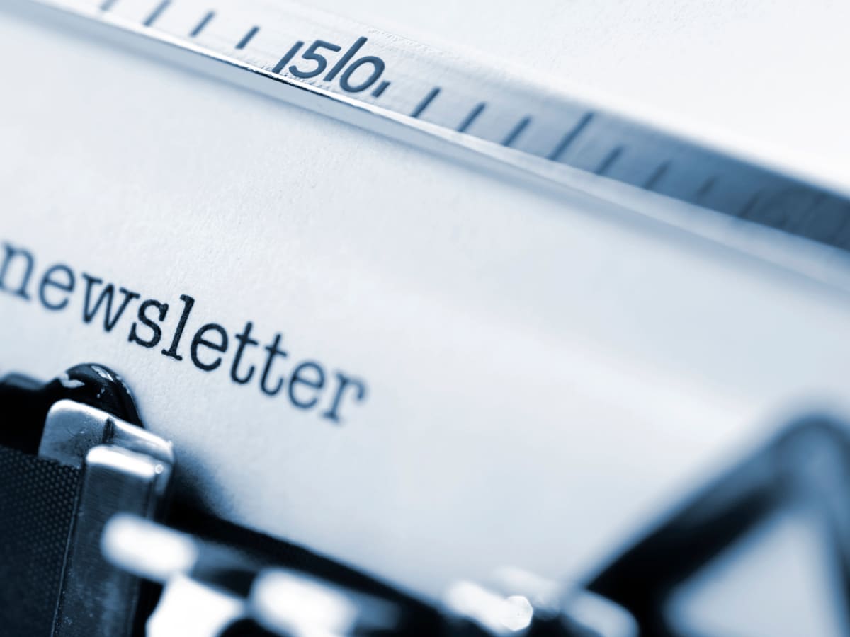 Email Marketing vs. Newsletter Advertising: What's the Difference? - Paved  Blog