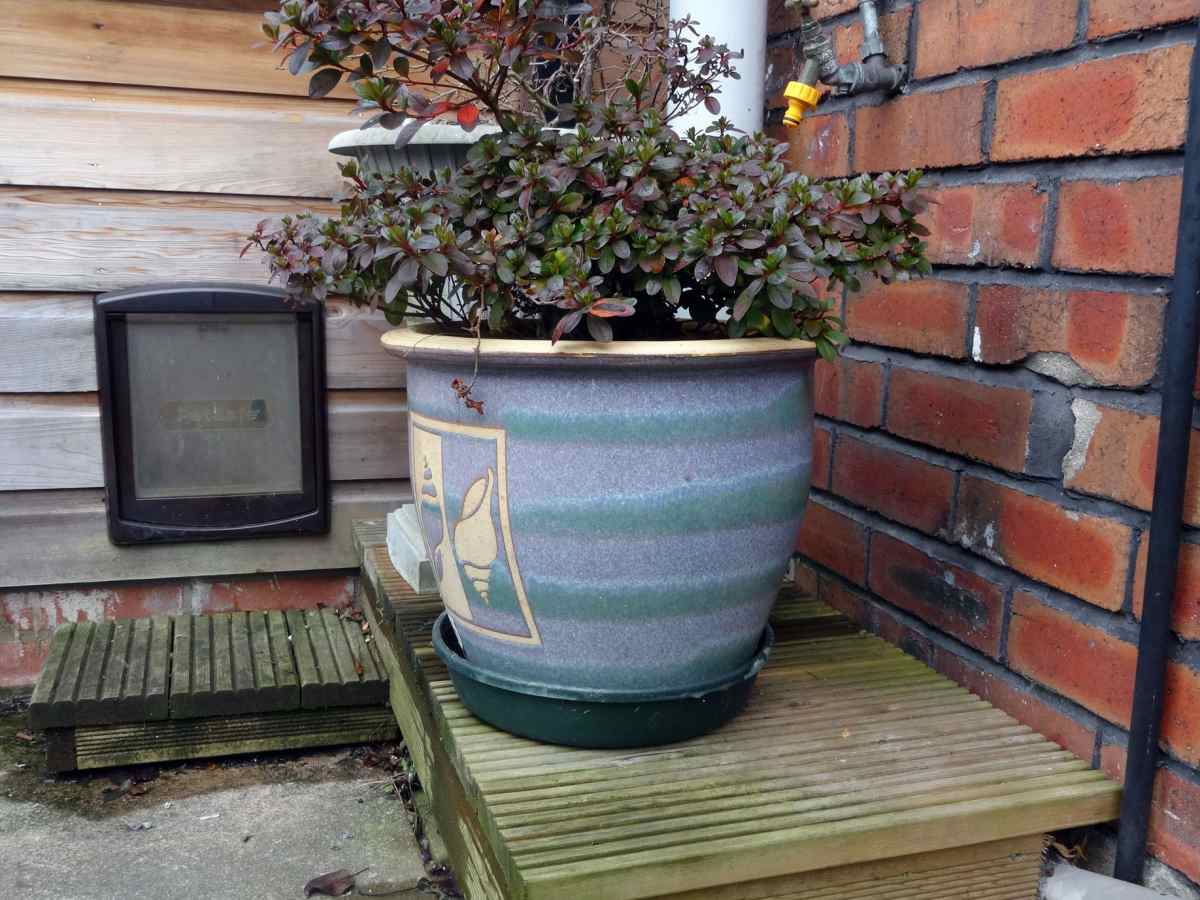 conservatory cat flap