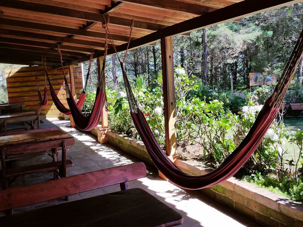hammock types