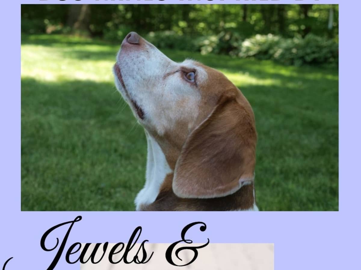 Names for Dogs that Are Derived from Less-Precious Stones
