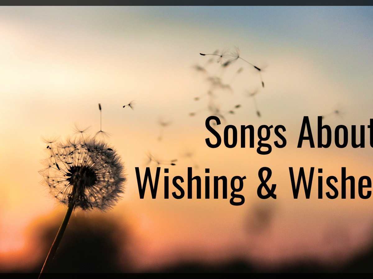 47 Songs About Wishes Spinditty