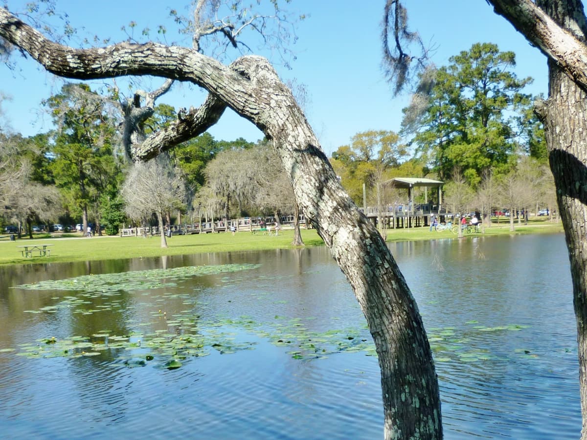 Burroughs Park Field Map Burroughs Park A Fabulous 320 Acre Park In Tomball Texas Wanderwisdom