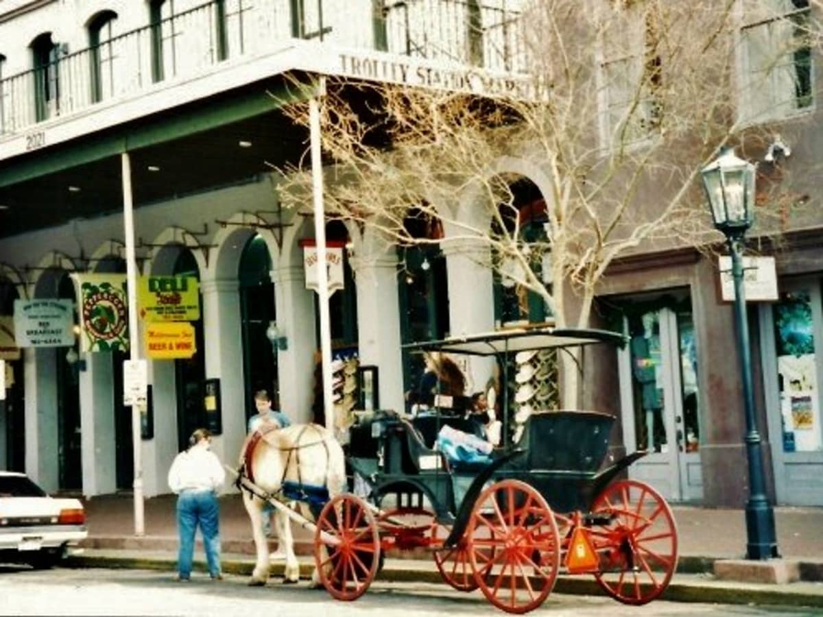 Trolleys  Galveston, TX - Official Website