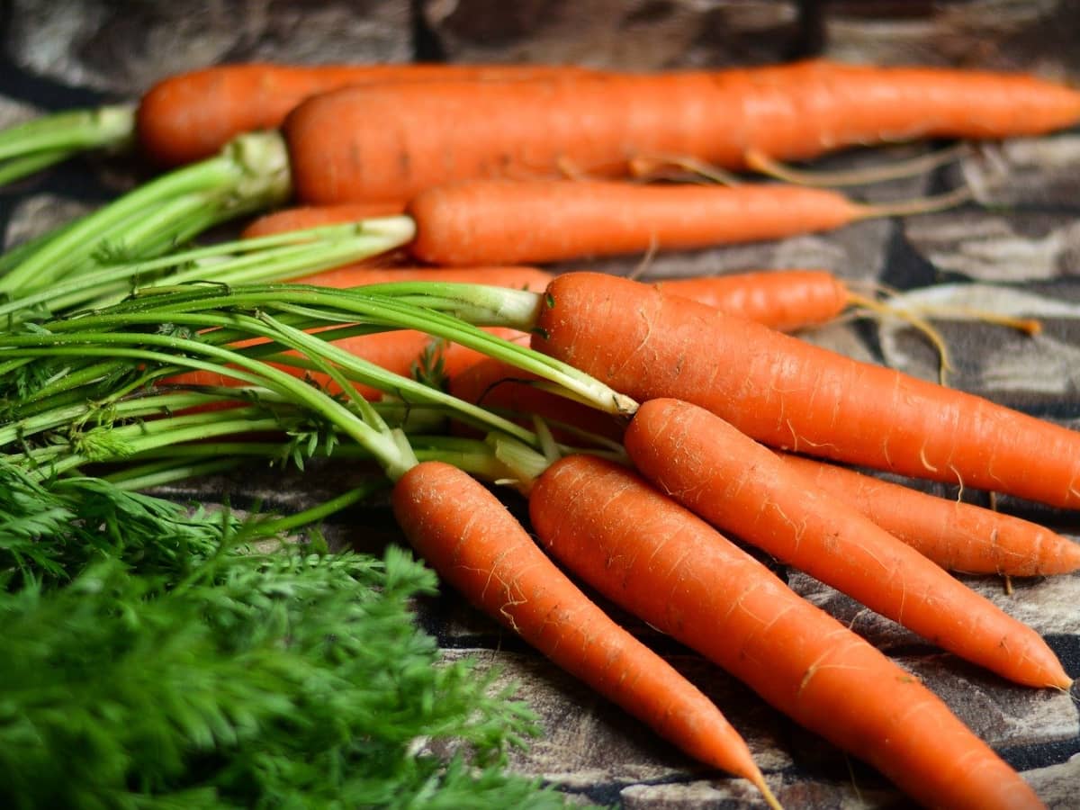 Featured image of post How to Make Vegetables Name In Portuguese