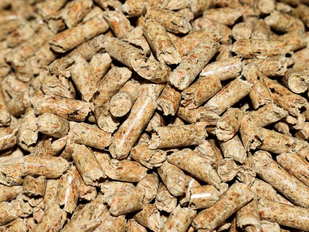 Why Does My Pellet Stove Keep Shutting off? Expert Fixes