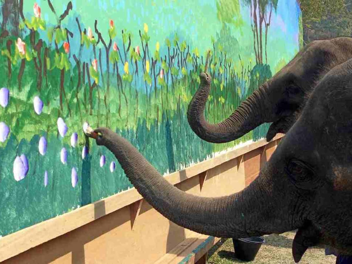 Art By Animals Elephants Gorillas And Many Other Species Take Up The Brush  - HubPages