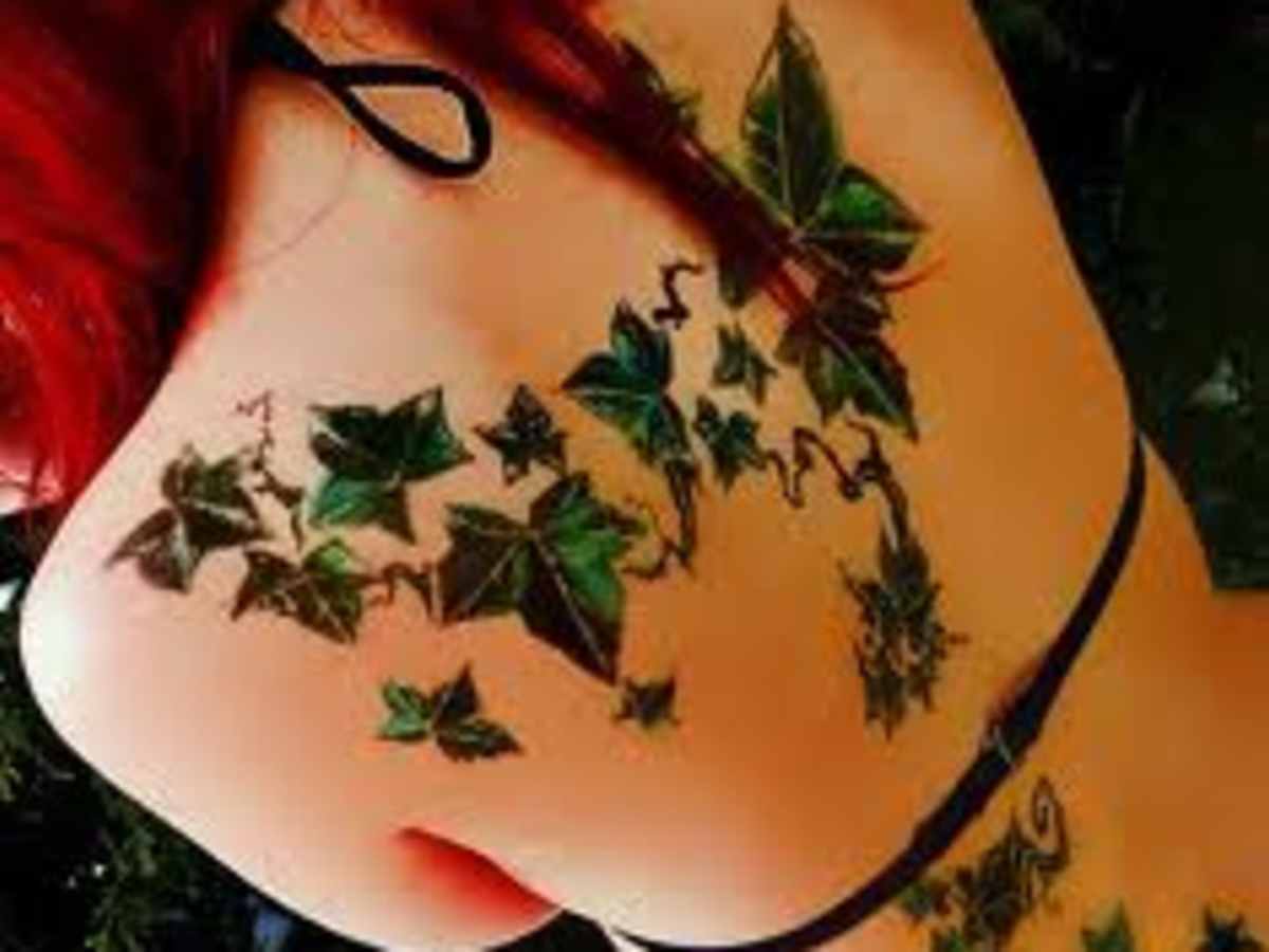 Ivy Tattoo Designs And Meanings Ivy Flower Tattoos And Vine Tattoos Hubpages