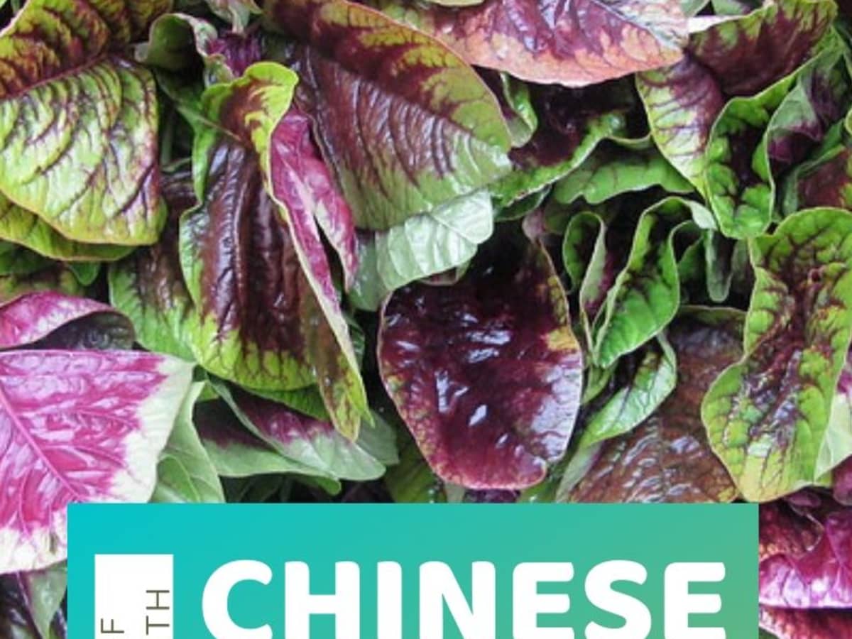 Chinese Spinach Benefits and Recipe (Yin Sai, Edible Amaranth) - HubPages