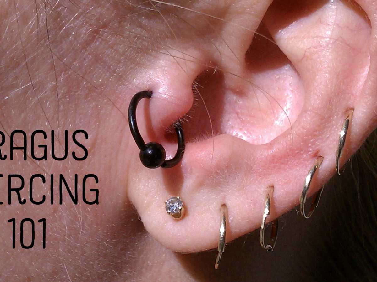 Tragus Ear Piercing Everything You Need To Know Hubpages Tragus Ear Piercing Everything You Need To Know Hubpages