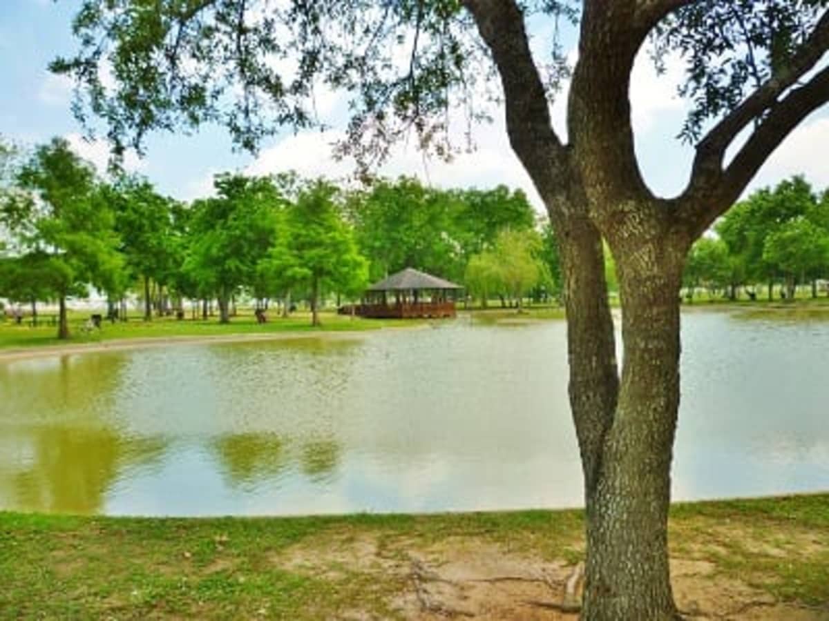 Arthur Storey Park in Houston: Fantastic Fun for All Ages - WanderWisdom