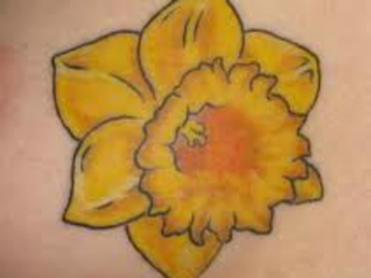 Daffodil tattoo, Flower tattoo shoulder, Tattoos