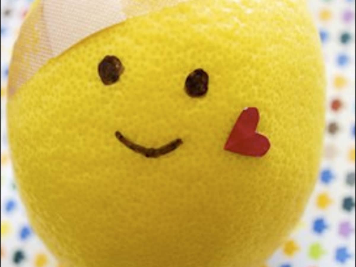 Artisanal Cheeses for the Home Kitchen with Beth Dougherty - School of  Traditional Skills, image size:1200x900