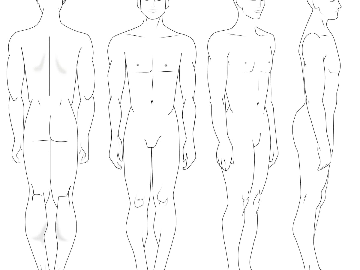 Thorax figure Drawing fashion Illustration chest trunk human Leg leg  sitting Person human Body  Anyrgb
