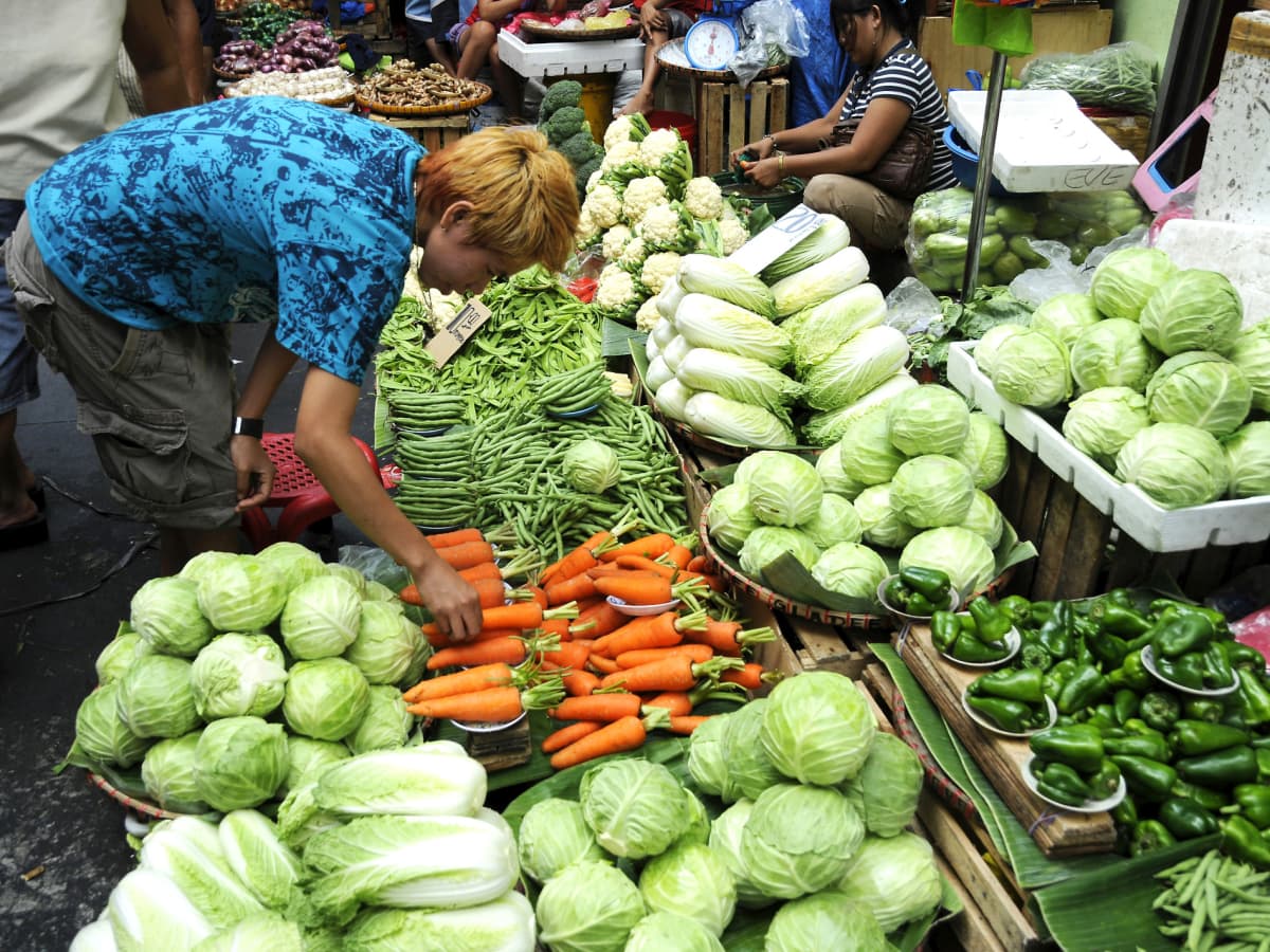 Top 10 Green Leafy Vegetables In The Philippines Best Vegetable In Top 10 Green Leafy Vegetables In The Philippines Best Vegetable In
