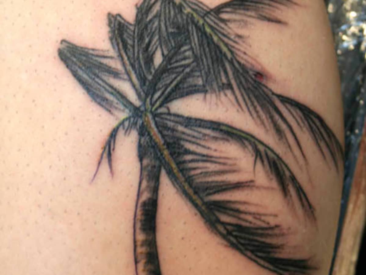 Calf Tree Palm Tattoo by Bang Bang