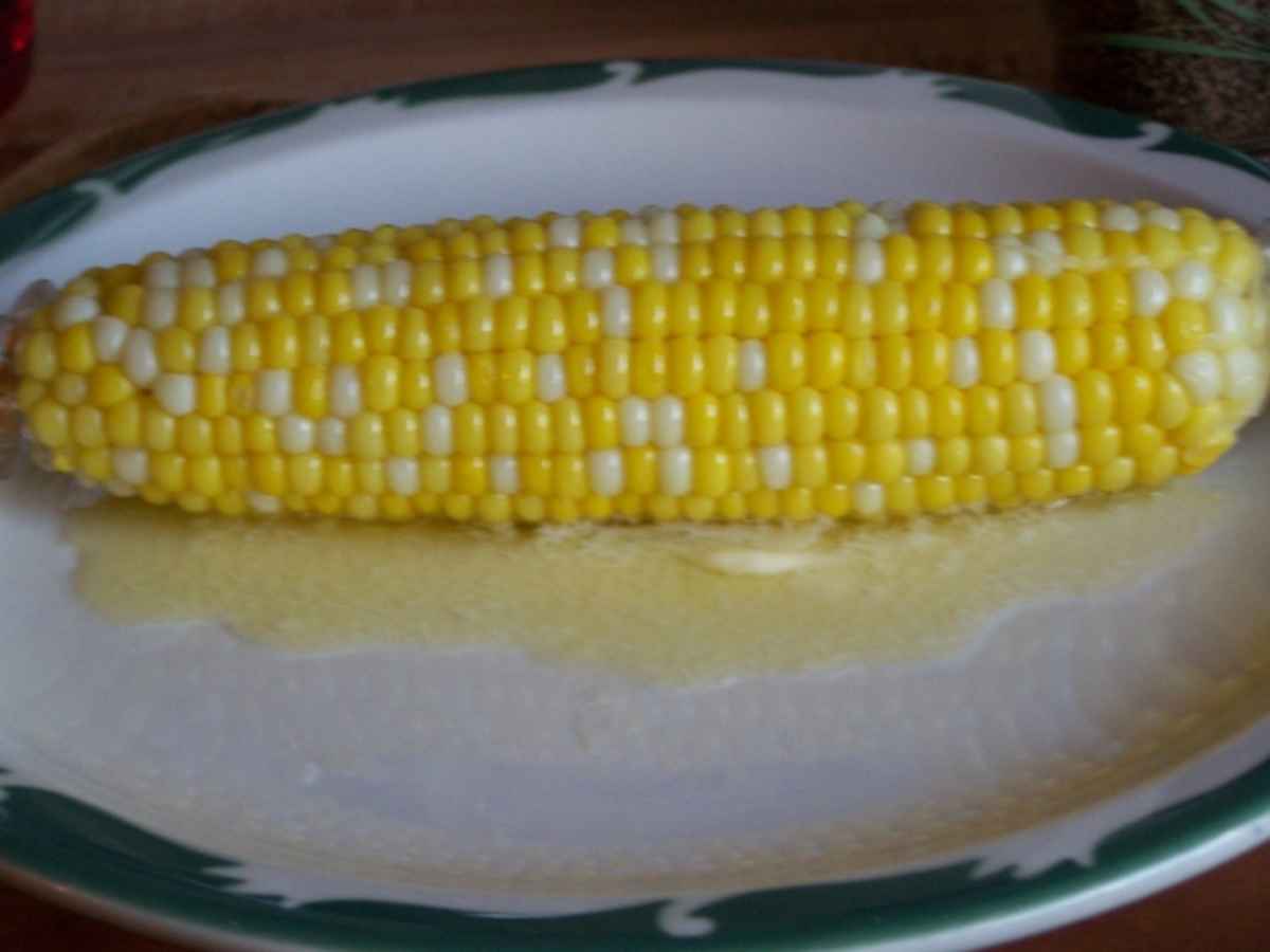 Can donkeys eat corn cobs The Conservative Nut