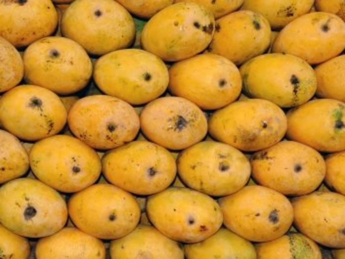 The Nutritional Benefit of Mangos - Health Beat
