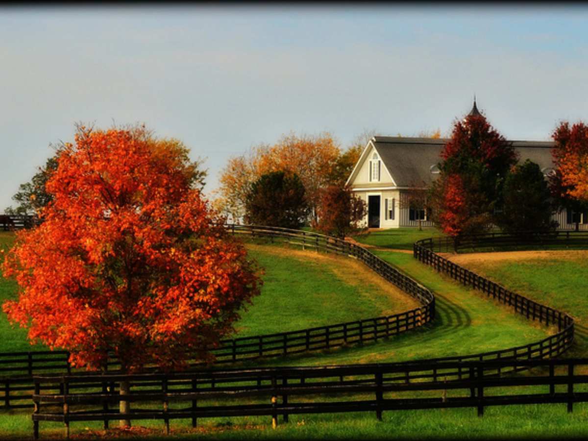 Things to Do in the Lexington, KY Area in the Fall - HubPages