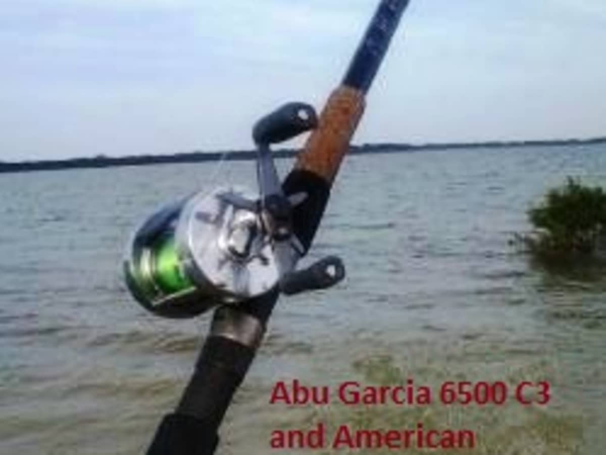 Is this a good reel for general Beach Casting vs Abu Garcia 6500