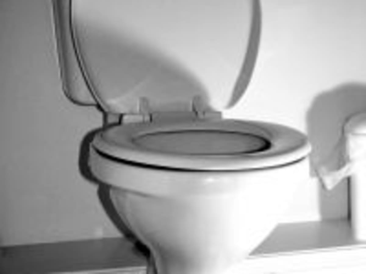 Installing a Toilet - How to Install a Toilet Yourself - HubPages