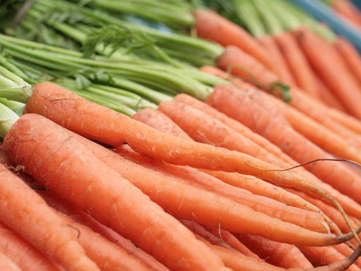 Benefits of Carrots, Carrot Juice and Gajar Ka Murabba in Pregnancy and Health - HubPages