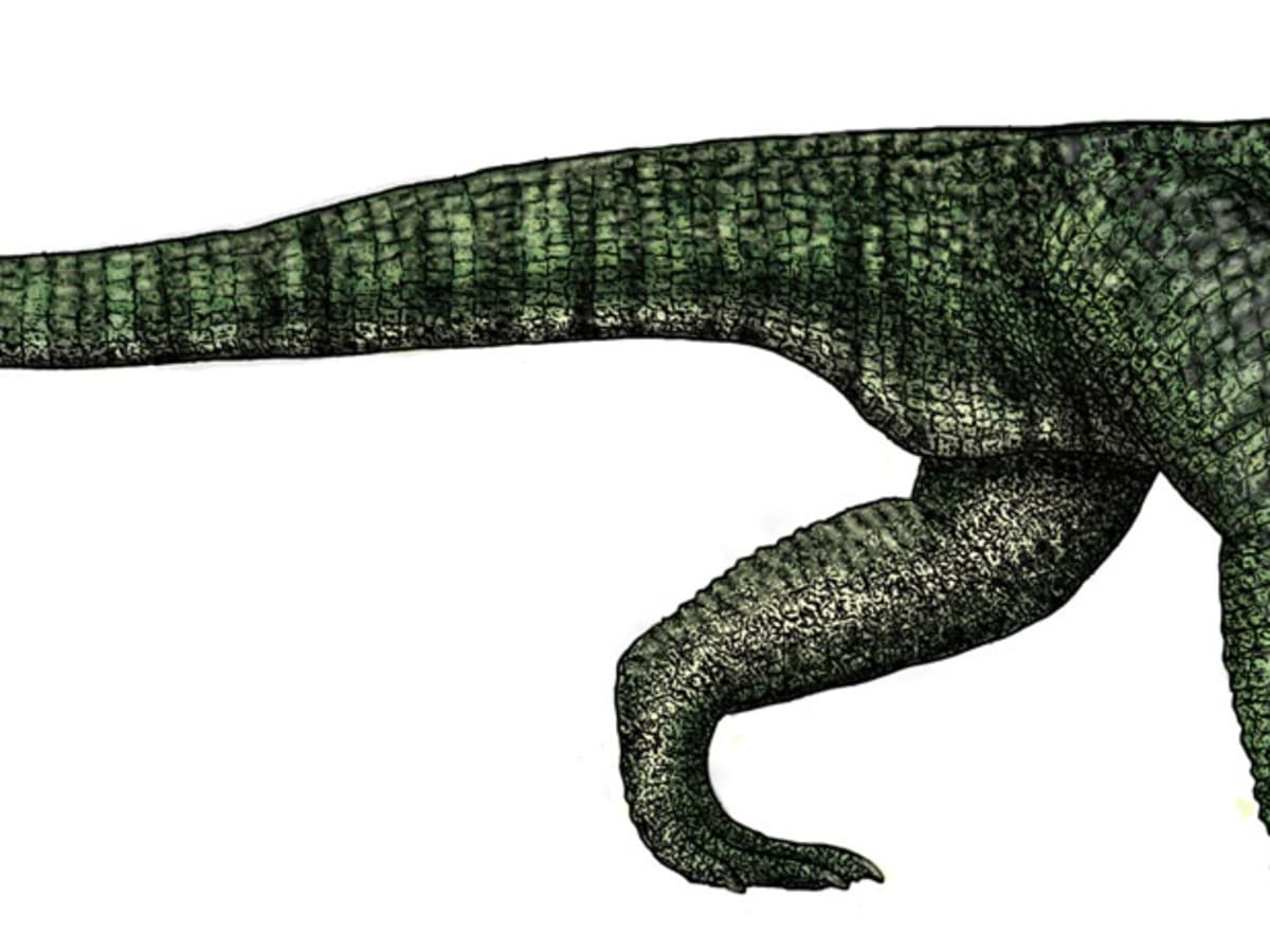 poposaurus rex