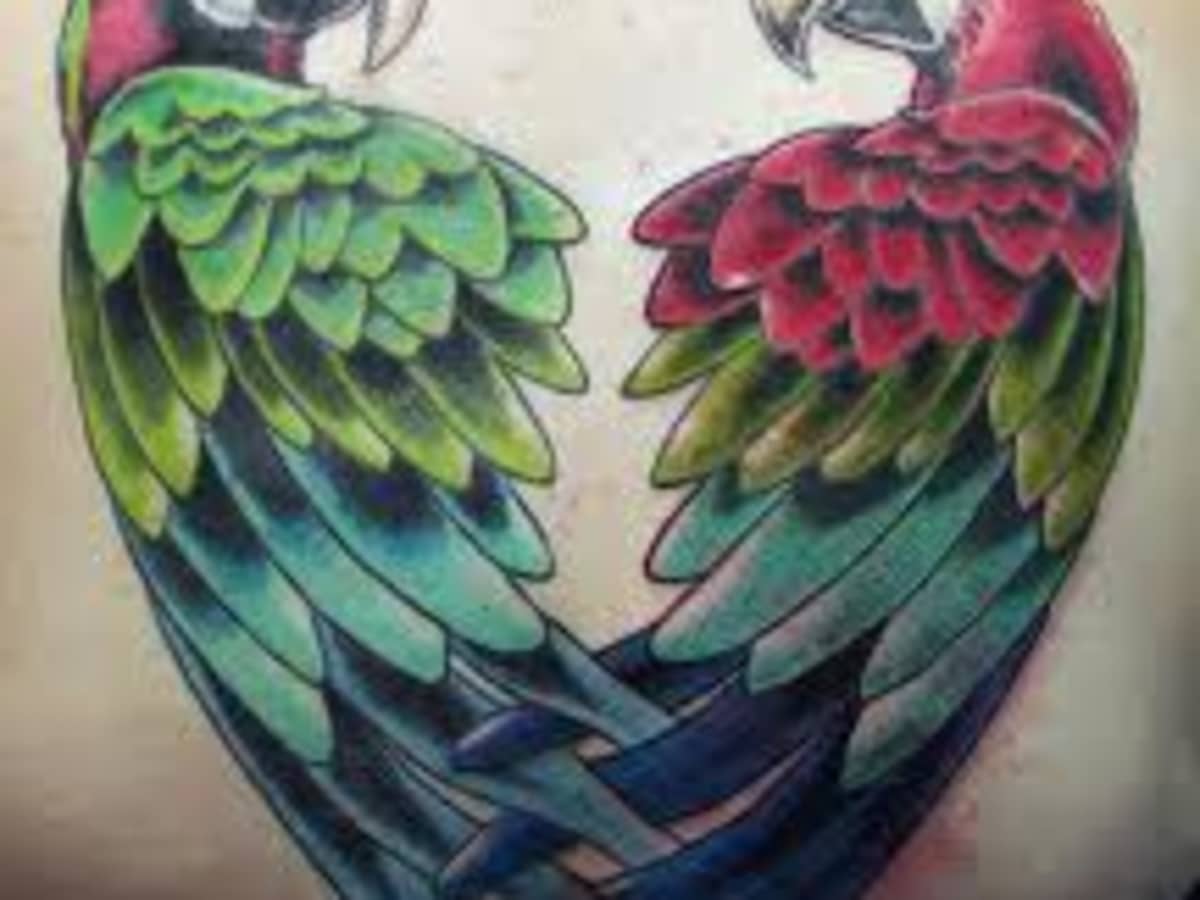 Traditional Parrot tattoo men at theYoucom