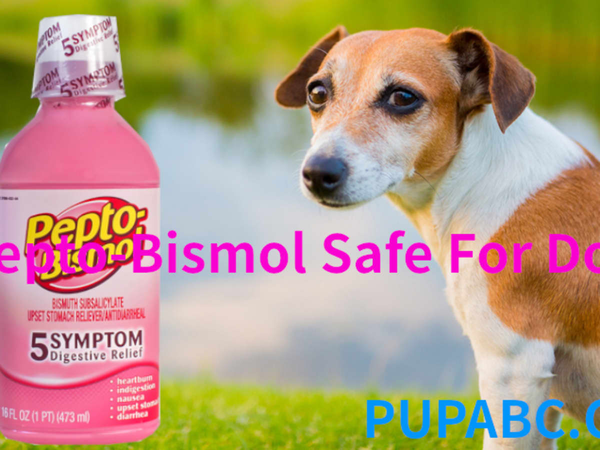can you give a dog pepto for an upset stomach