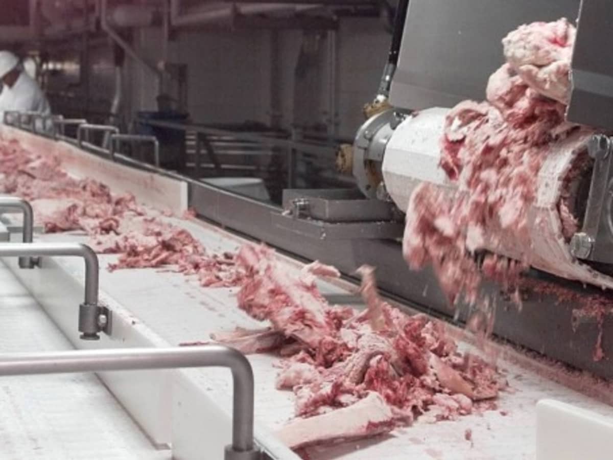 Meat Glue, Pink Slime, Health Risks & More Reasons to Never Eat Meat