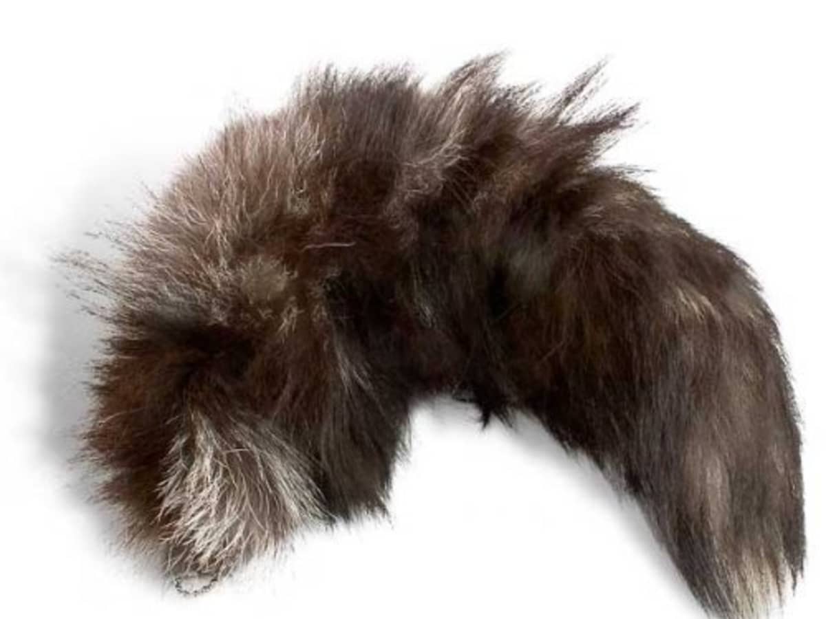 Can I wear a Fox Tail? I bought one for my keys, but it looks good with  pants. - Quora