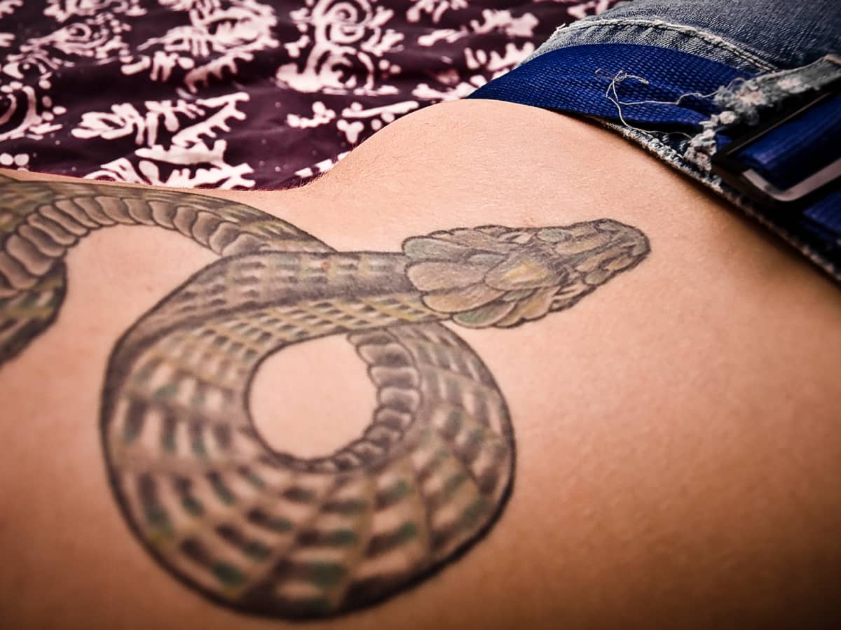 Harper FairchildBlackthorn sur Twitter  Friend of mine met  VanessaMorgan today and she said she wanted to see my Serpent tattoo lt3  Its a dream to have the 6th Serpent Law in 