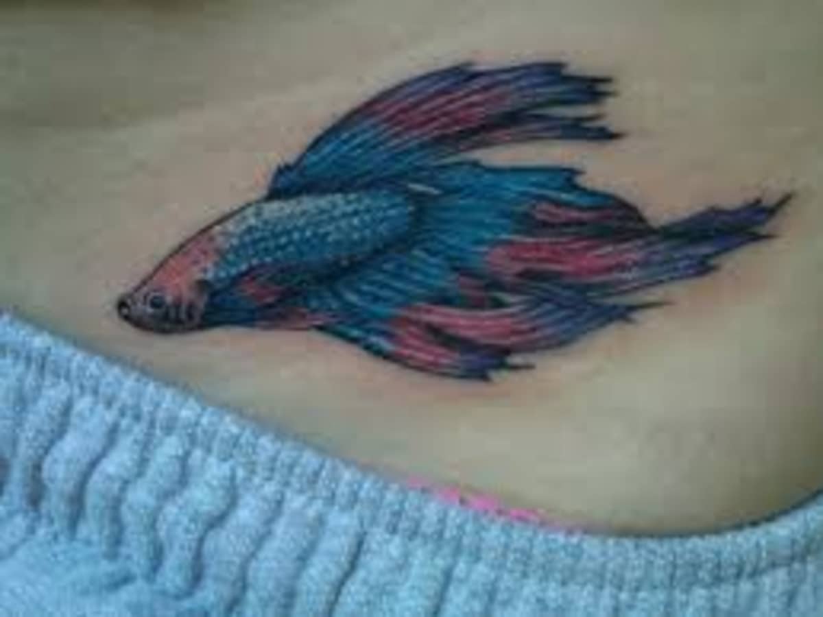 got my first tattoo today thought you guys would appreciate it  r bettafish