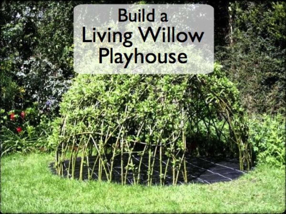 Grow a Living Den or Playhouse From Willow or Bamboo: DIY Tutorial