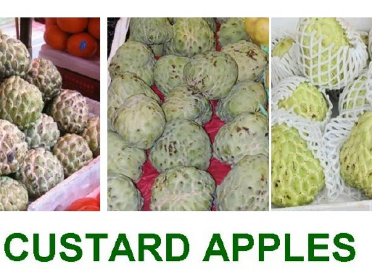 Custard apples: What the heck are they and why should you eat them?