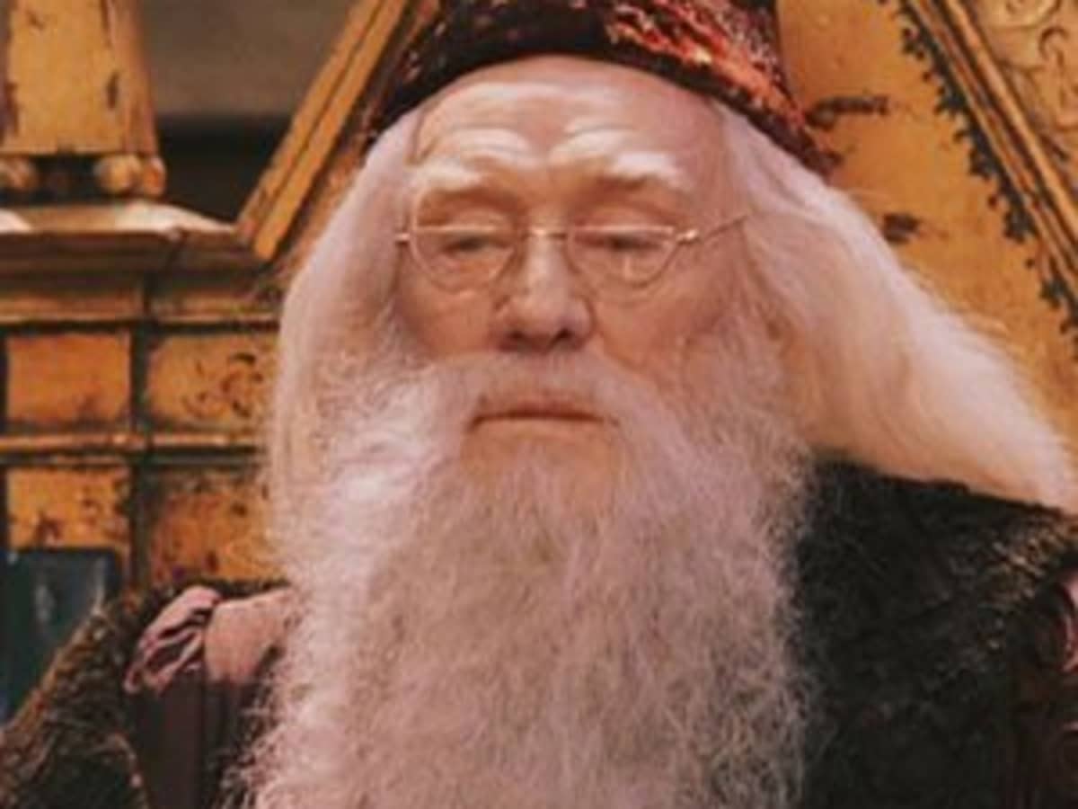 Dumbledore Albus Dumbledore