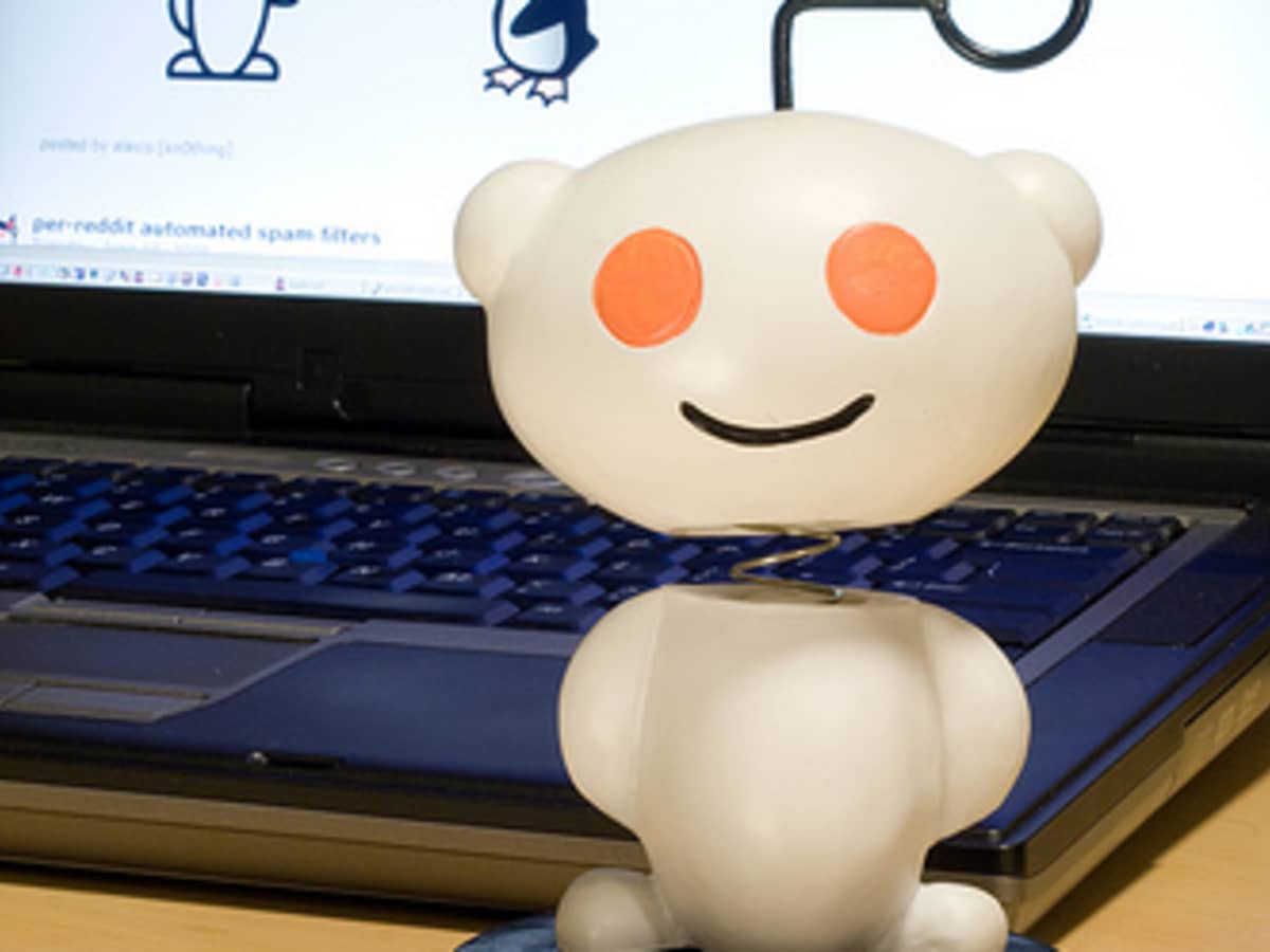 Reddit Northeastern Fake Id