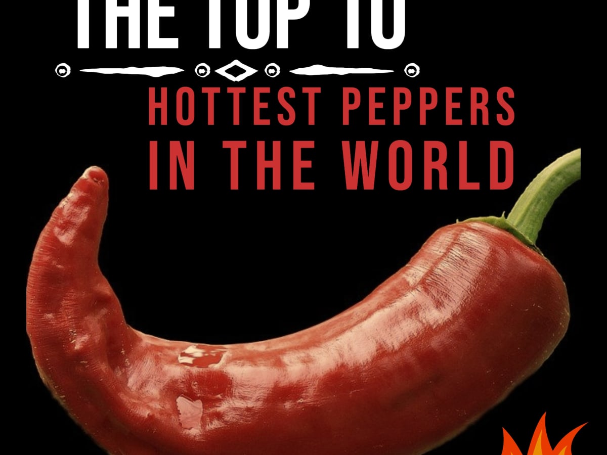 20+ Naga Viper Pepper Seeds Ghost hotter than Bhut Jolokia chili, chile.
