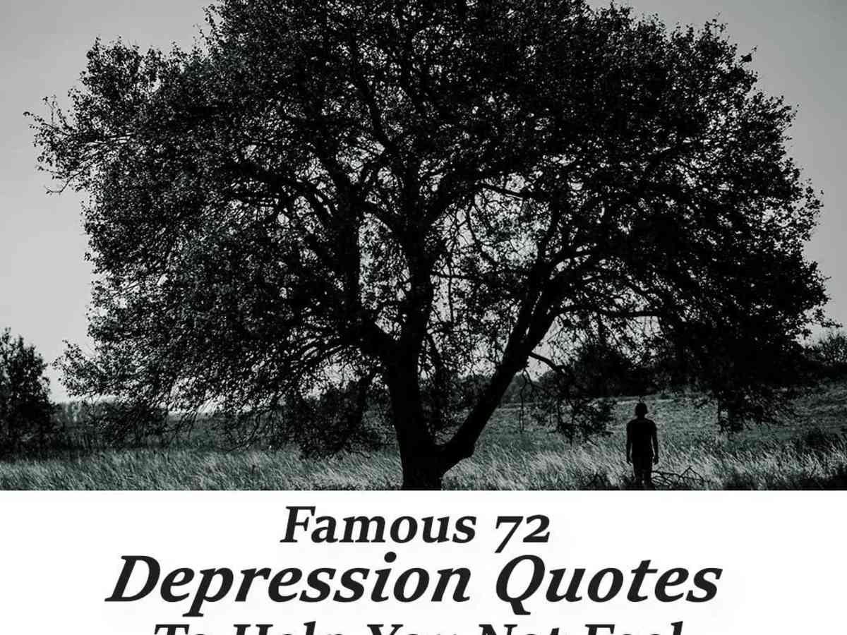 The Crackup and Resurrection of Warren Zevon, image size:1200x900