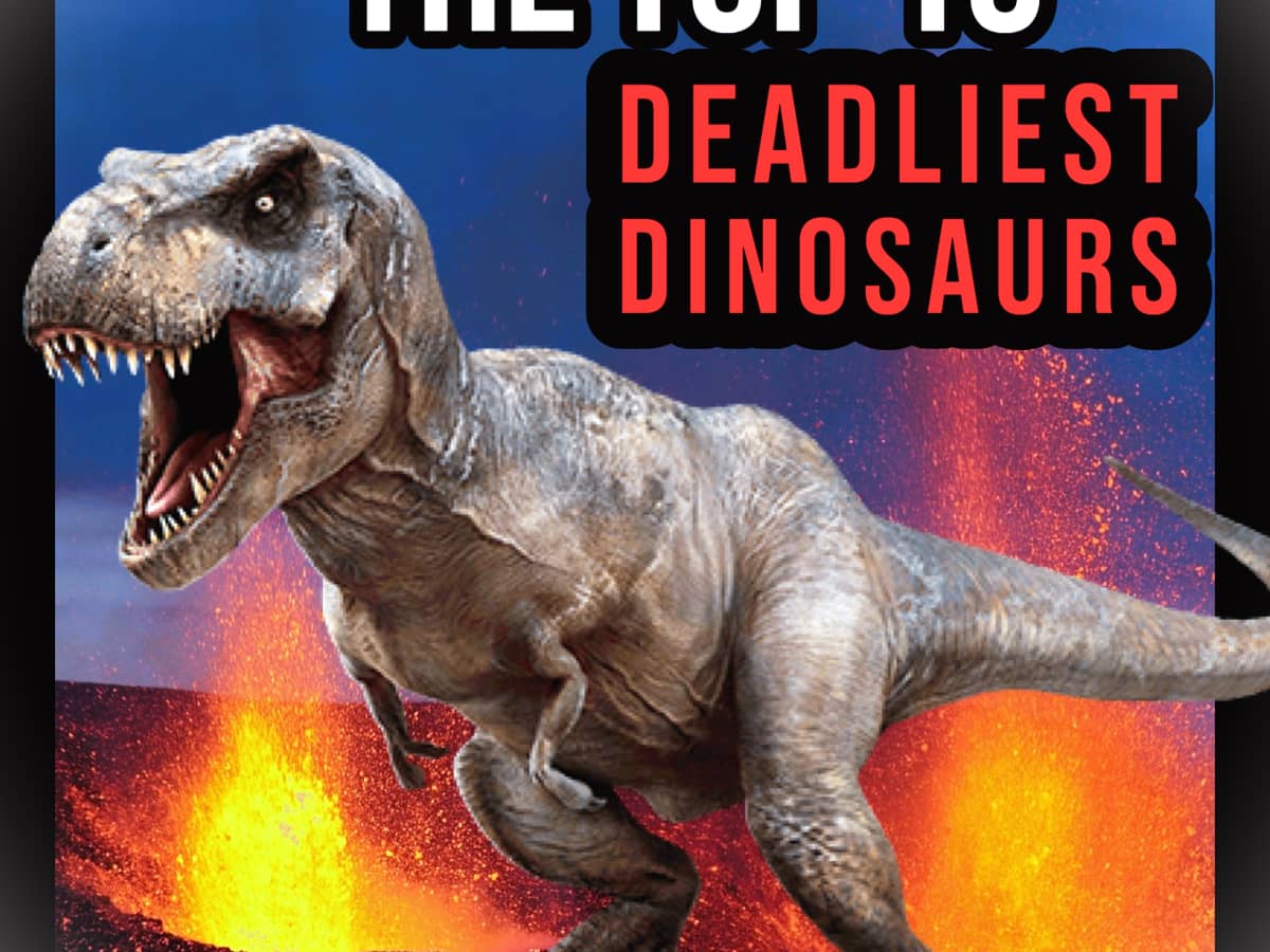 The Top 10 Deadliest Dinosaurs - Owlcation