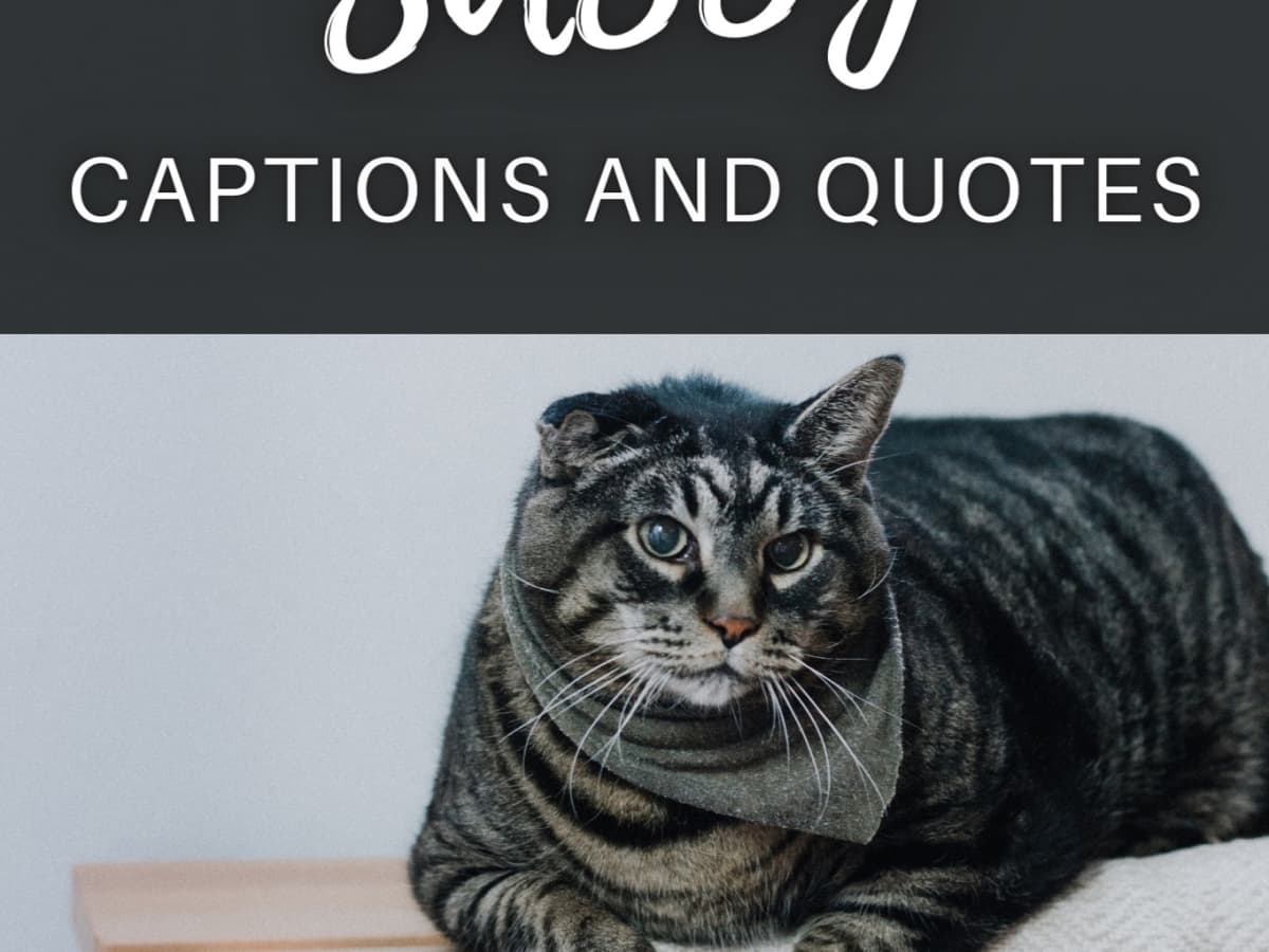 sassy quotes and caption ideas