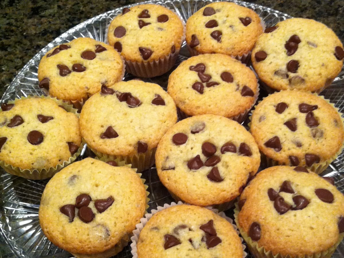 Chocolate Chip Muffin Recipe Delishably