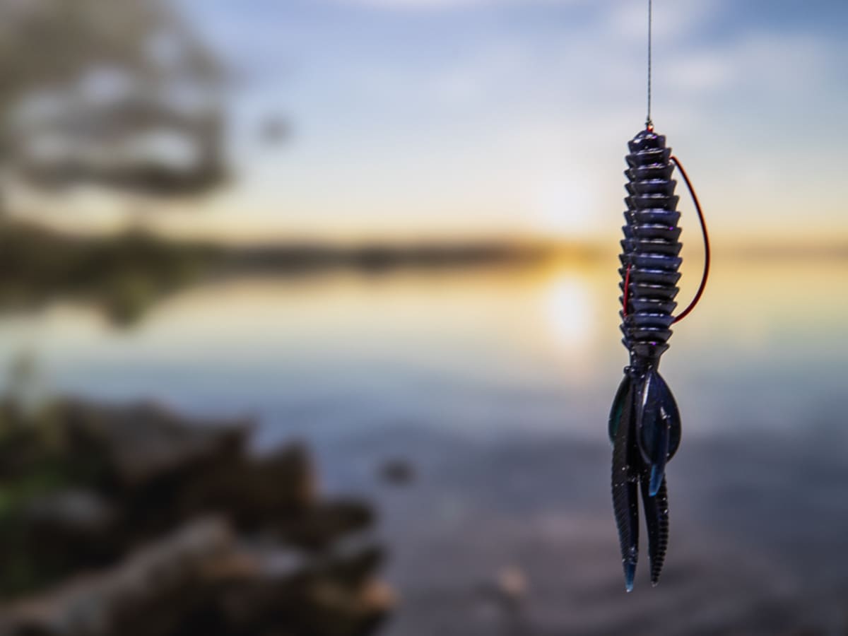 Beginner Guide to Weightless Rig Fishing for Bass - HubPages