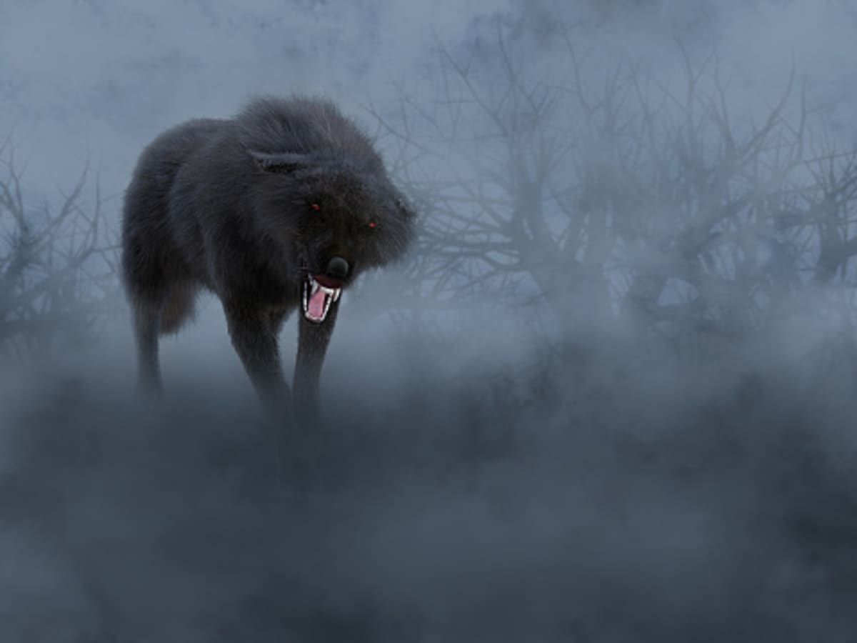 Argentina Has a Superstition That Seventh Sons Will Turn into Werewolves, Smart News