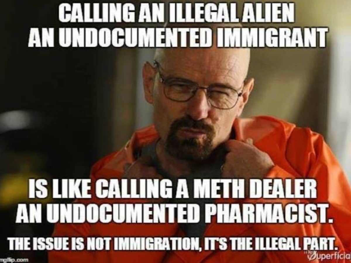 illegal-aliens-what-the-term-means-and-why-democrats-censor-it.jpg