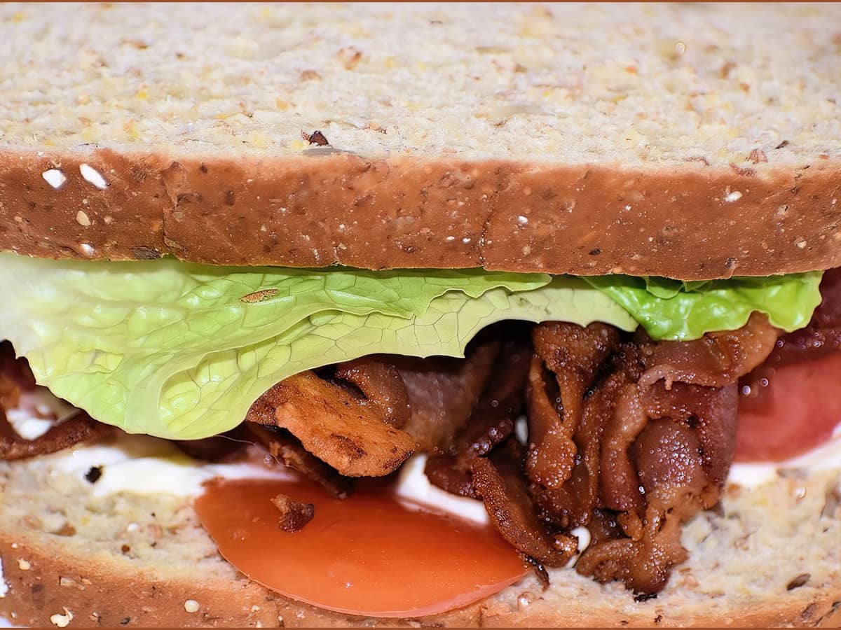 https://images.saymedia-content.com/.image/ar_4:3%2Cc_fill%2Ccs_srgb%2Cfl_progressive%2Cq_auto:eco%2Cw_1200/MTk2Mzc1MDg3OTUwMjc2MjQy/how-to-make-sandwiches-like-a-pro.jpg