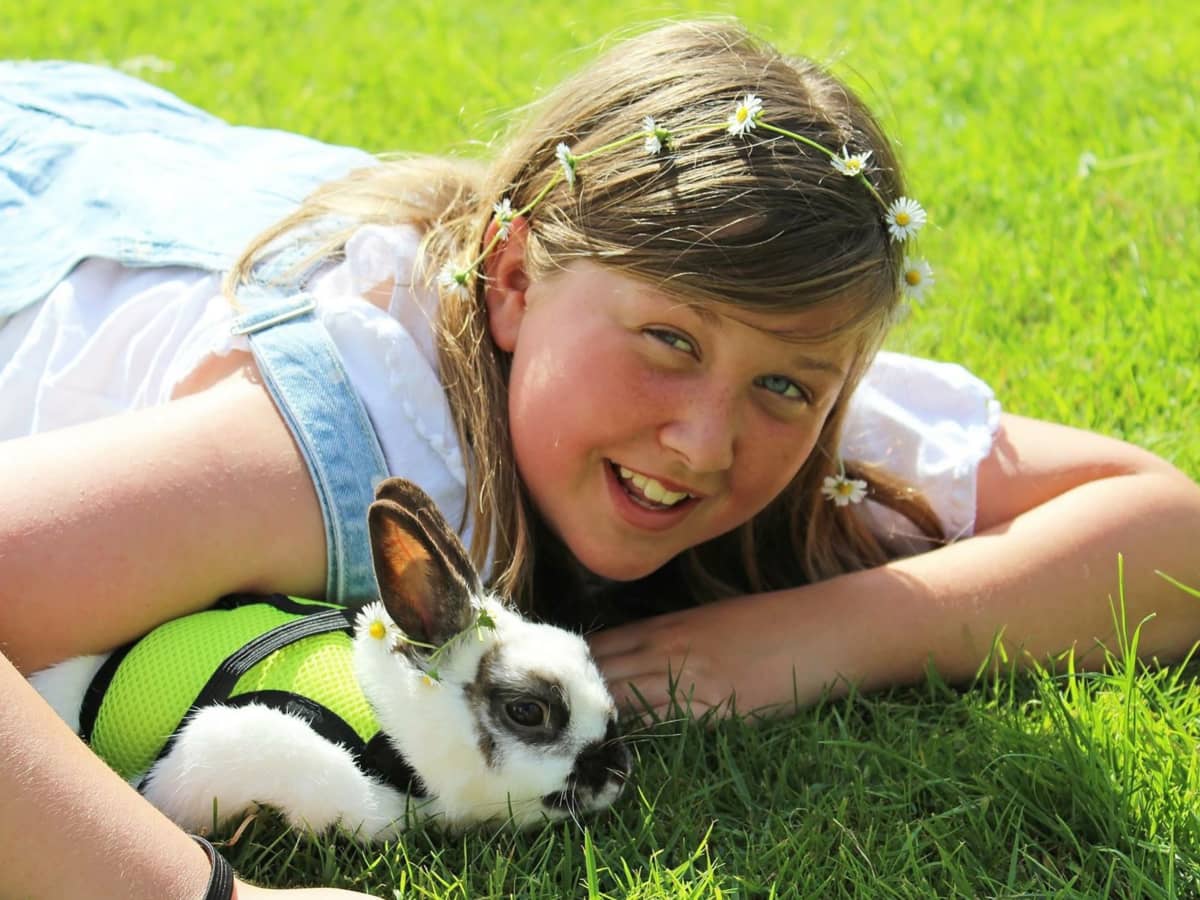 https://images.saymedia-content.com/.image/ar_4:3%2Cc_fill%2Ccs_srgb%2Cfl_progressive%2Cq_auto:eco%2Cw_1200/MTk2OTgwMDQyMTQ2Nzg1MDI5/best-bunnies-for-children.jpg