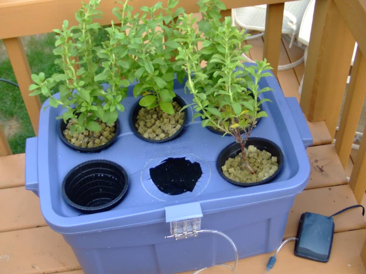 Hydroponic Tubs: A Build-It-Yourself Guide - Dengarden