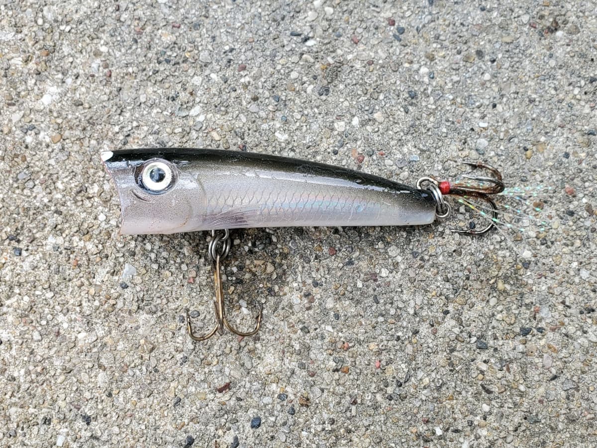 Rebel Lure: Review for Topwater Bass Fishing - SkyAboveUs