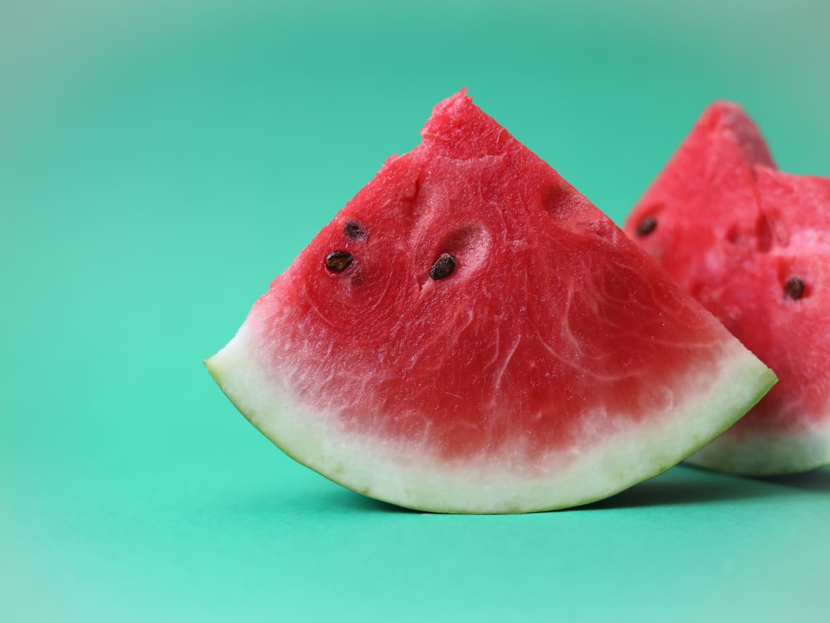 https://images.saymedia-content.com/.image/ar_4:3%2Cc_fill%2Ccs_srgb%2Cfl_progressive%2Cq_auto:eco%2Cw_1200/MTk4MTIzMDEyMTMyNzA5NTY2/can-dogs-eat-watermelon-what-to-know-about-this-popular-summer-fruit-and-your-pup.jpg